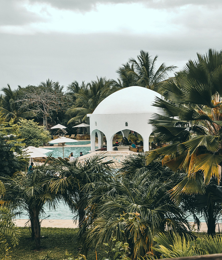 swimming pool and palm trees