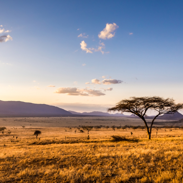 kenya scenery used as film locations