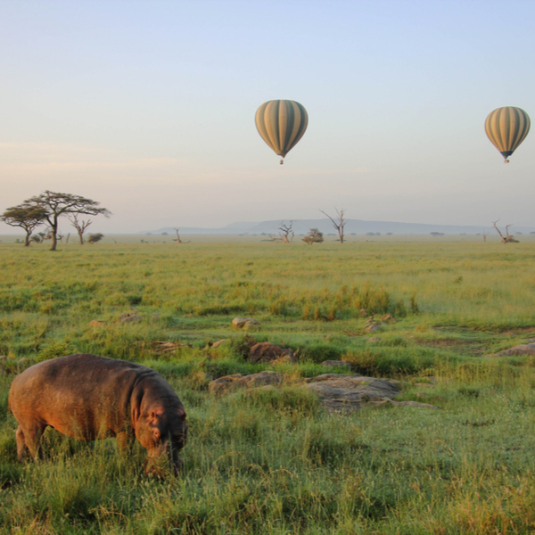 hot air balloon ride in kenya