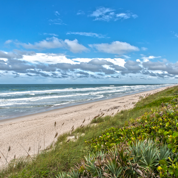 Canaveral National Seashore