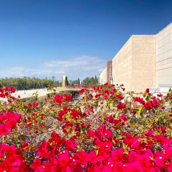 flowers at shopping mall in los angeles