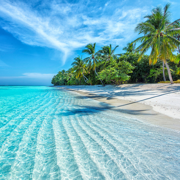 beautiful beach in the maldives