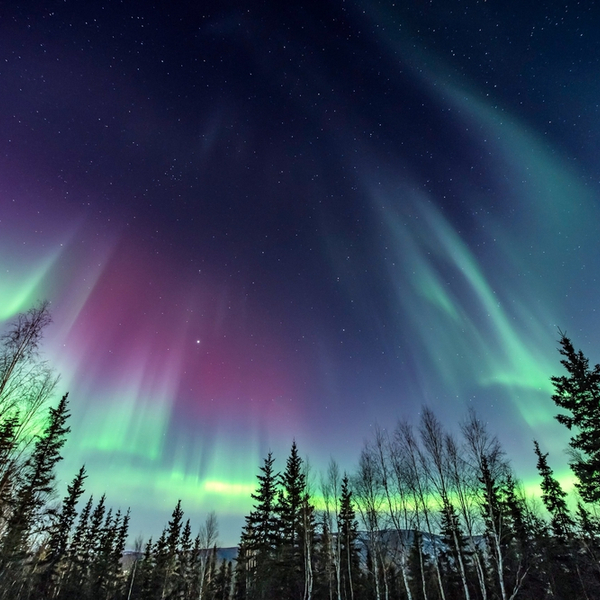watching the northern lights in alaska