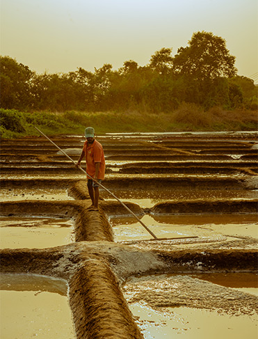 man in field in goa