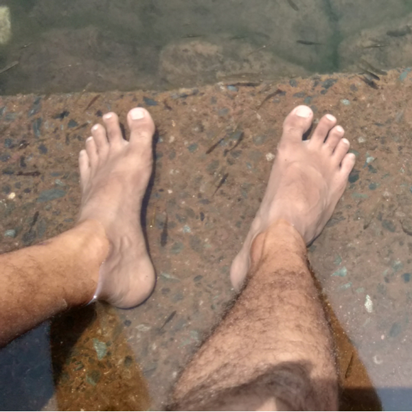 fish pedicure in goa