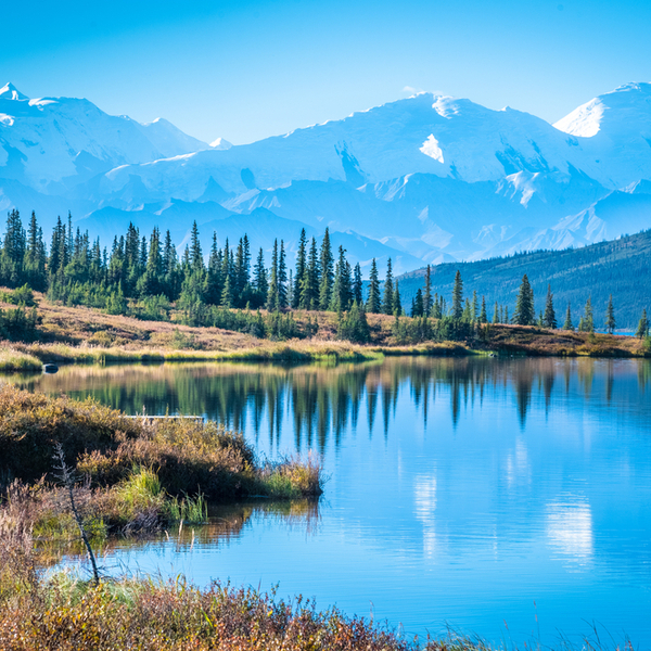 denali national park scenery in alaska