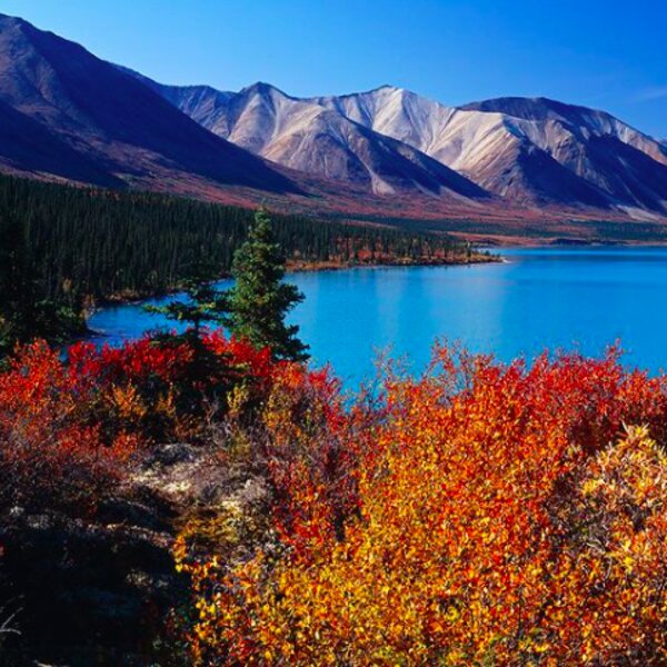 lake clark national park alaska
