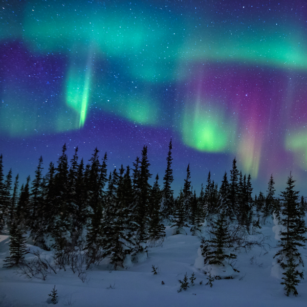 seeing the northern lights in alaska
