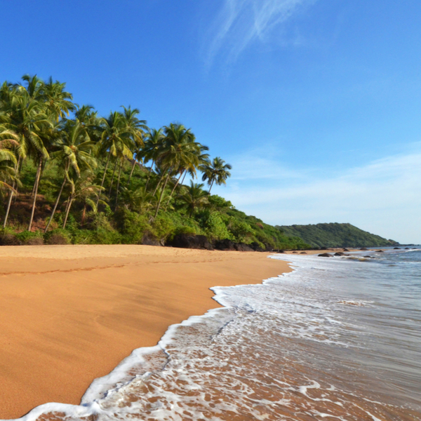 pristine beach in goa