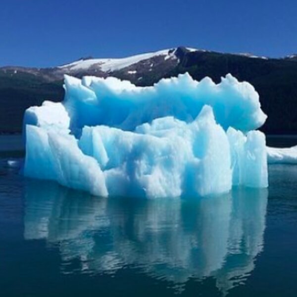 fjord tour in alaska