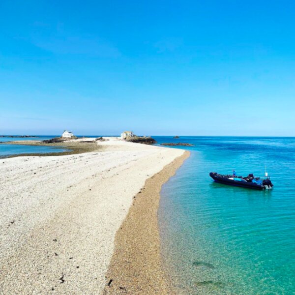 exploring a sandbar in jersey