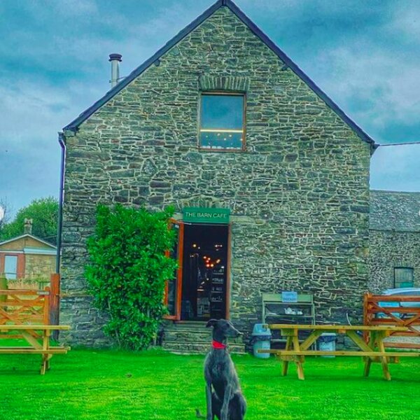 dog friendly camping in devon