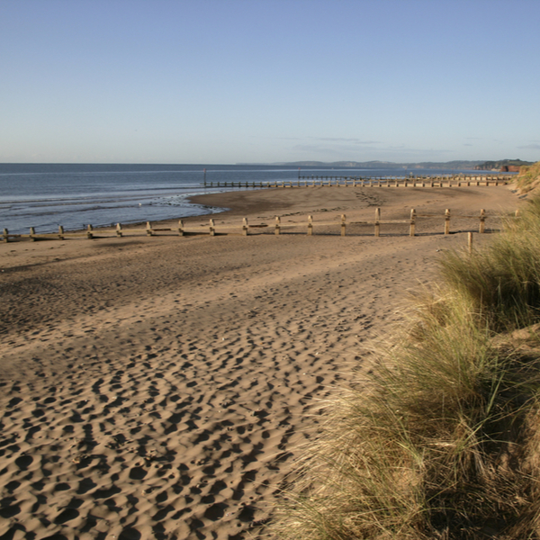 beach at devon nature reserve