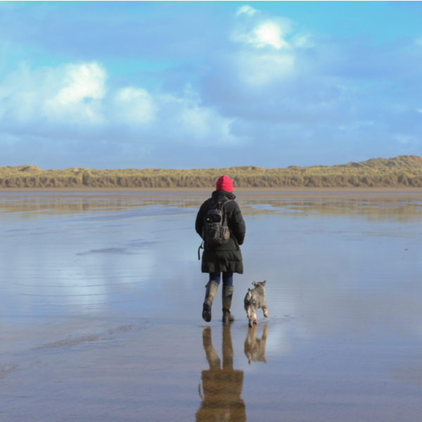 person walking their dog on saunton beach in devon