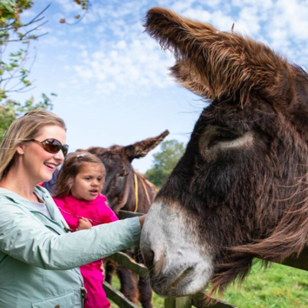 family attraction devon