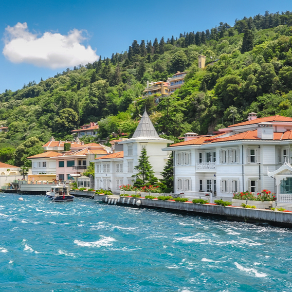view of the coast of princes island near istanbul