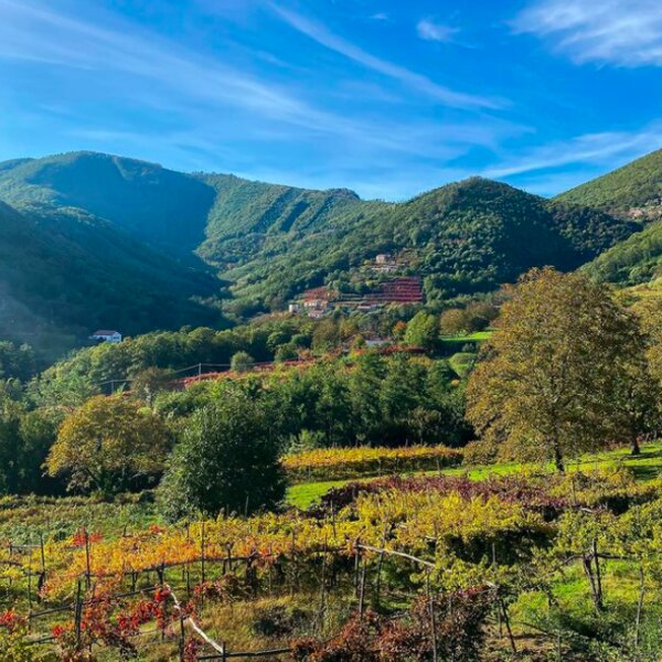 amalfi coast wine tour