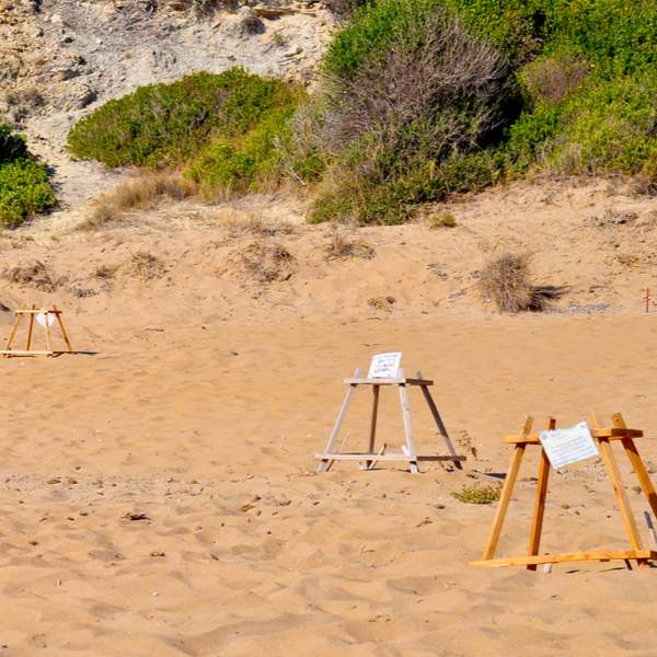 turtle nests at a beach in zante