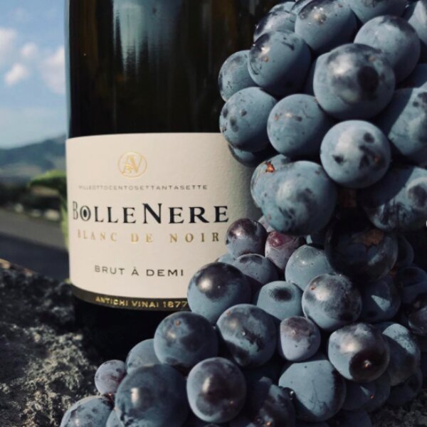 visiting a vineyard in sicily