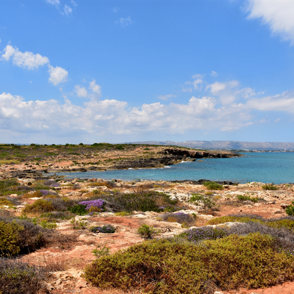 exploring the Vendicari Nature Reserve in sicily