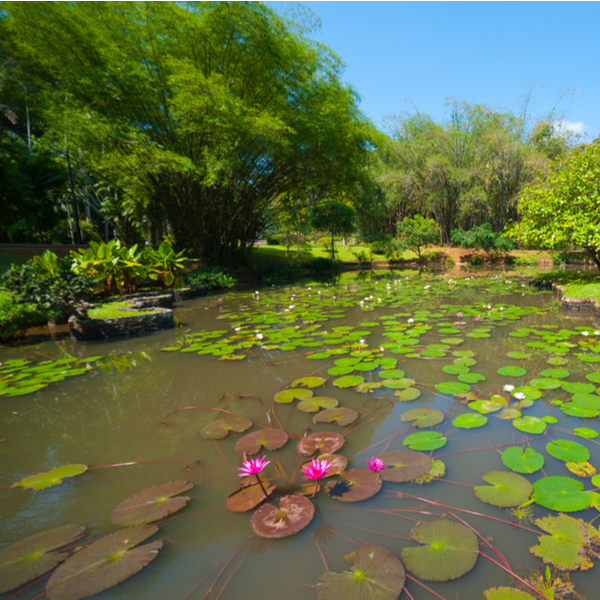 kefalonia botanical garden