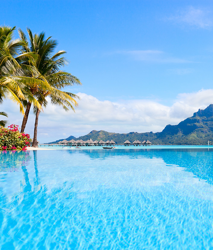 Blue skies and palm trees in Bora Bora