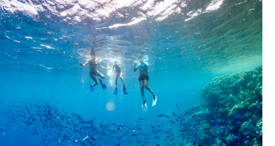 family friendly holidays in egypt