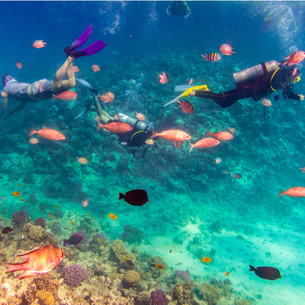 one of the best diving spots in hurghada