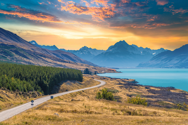 Power of the Dog - New Zealand - filming locations of the Oscar-nominated films 2022