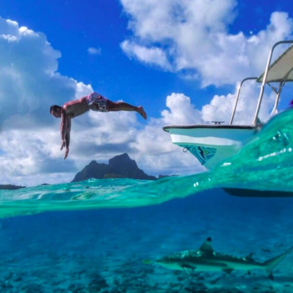 swimming with sharks in bora bora