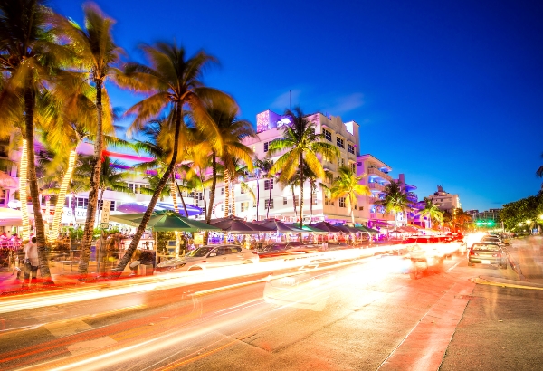 Night time view of Miami neon and palm trees
