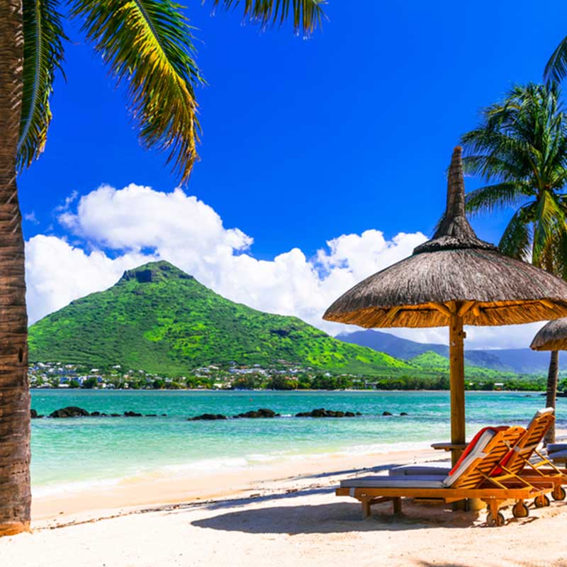 Mauritius beach blue sky palm trees