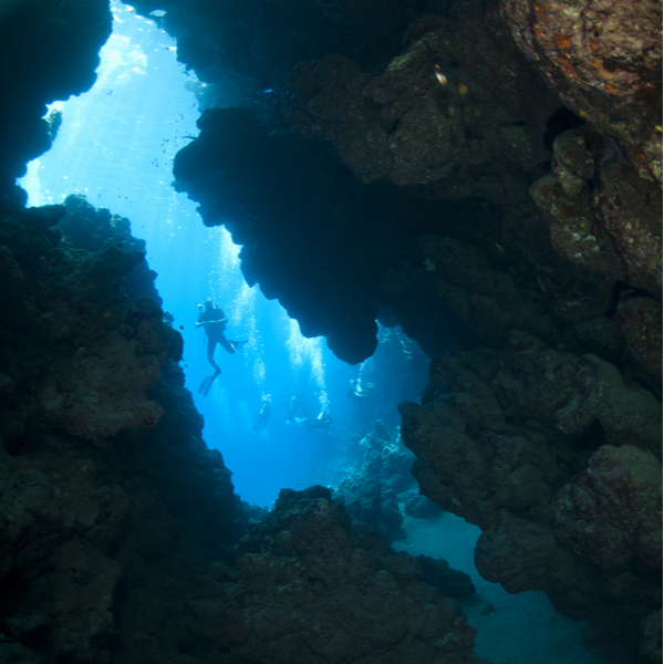 Jackfish Alley sharm el sheikh