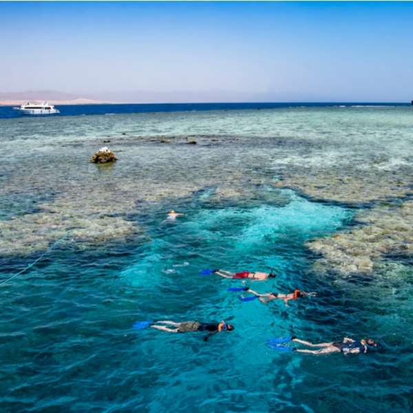snorkelling at tiran island