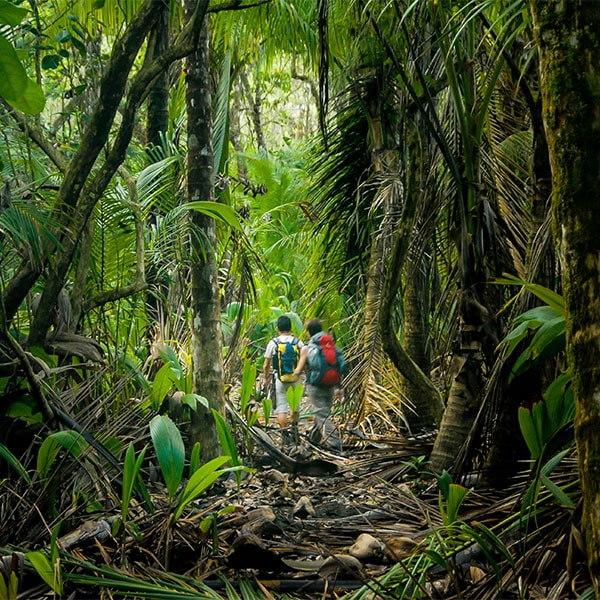 Corcovado National Park
