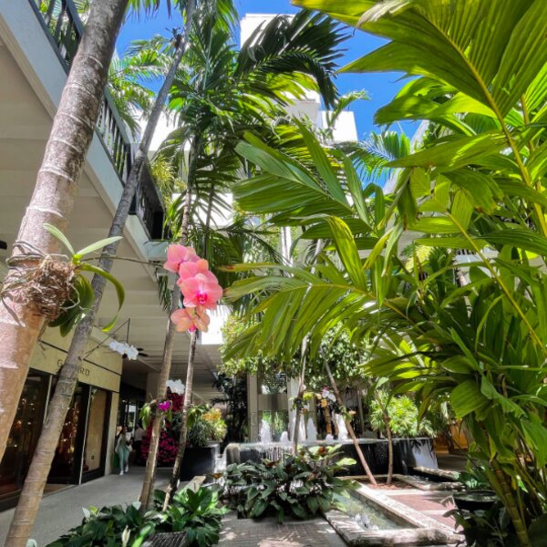 bal harbour miami