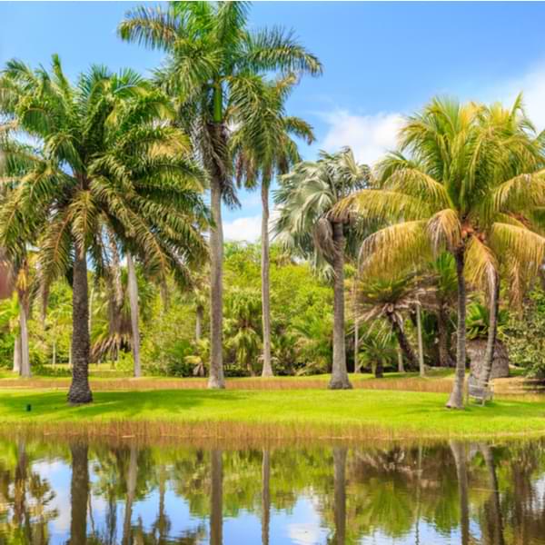 Tropical Botanical Gardens miami