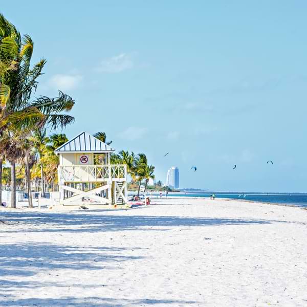 Crandon Park Beach is one of the best beaches in miami