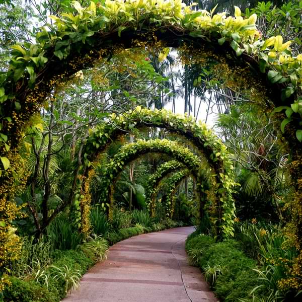 singapore botanic gardens