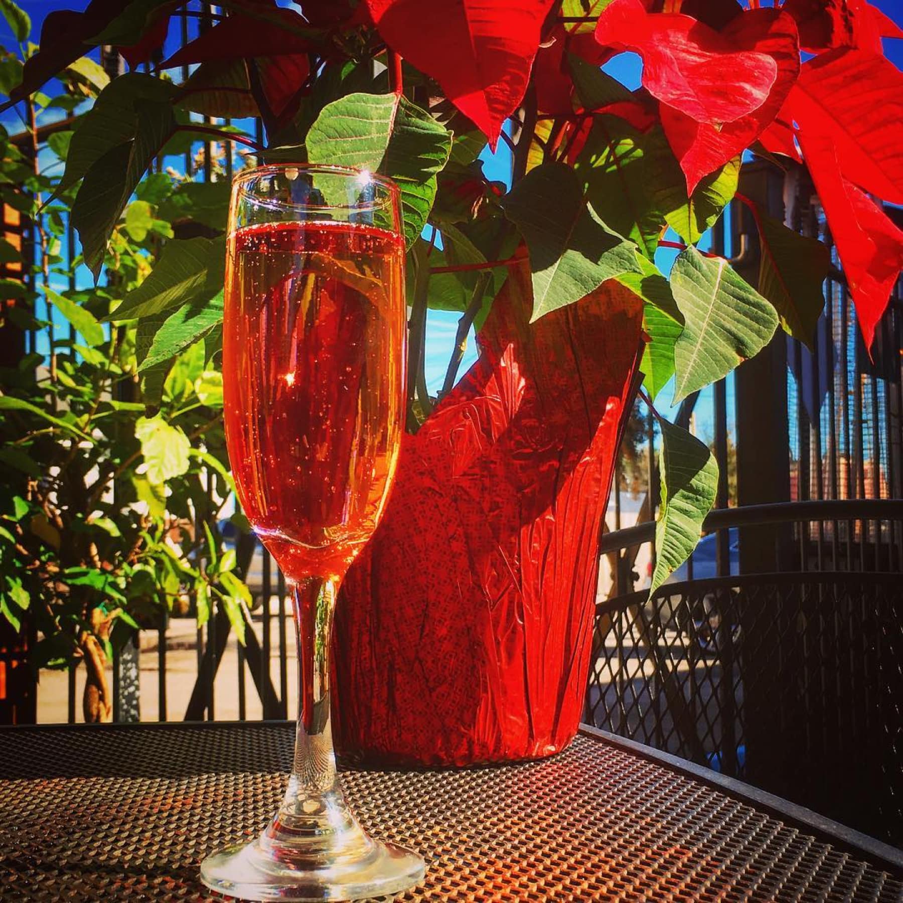 A glass of Rose at Bayou Wine Garden