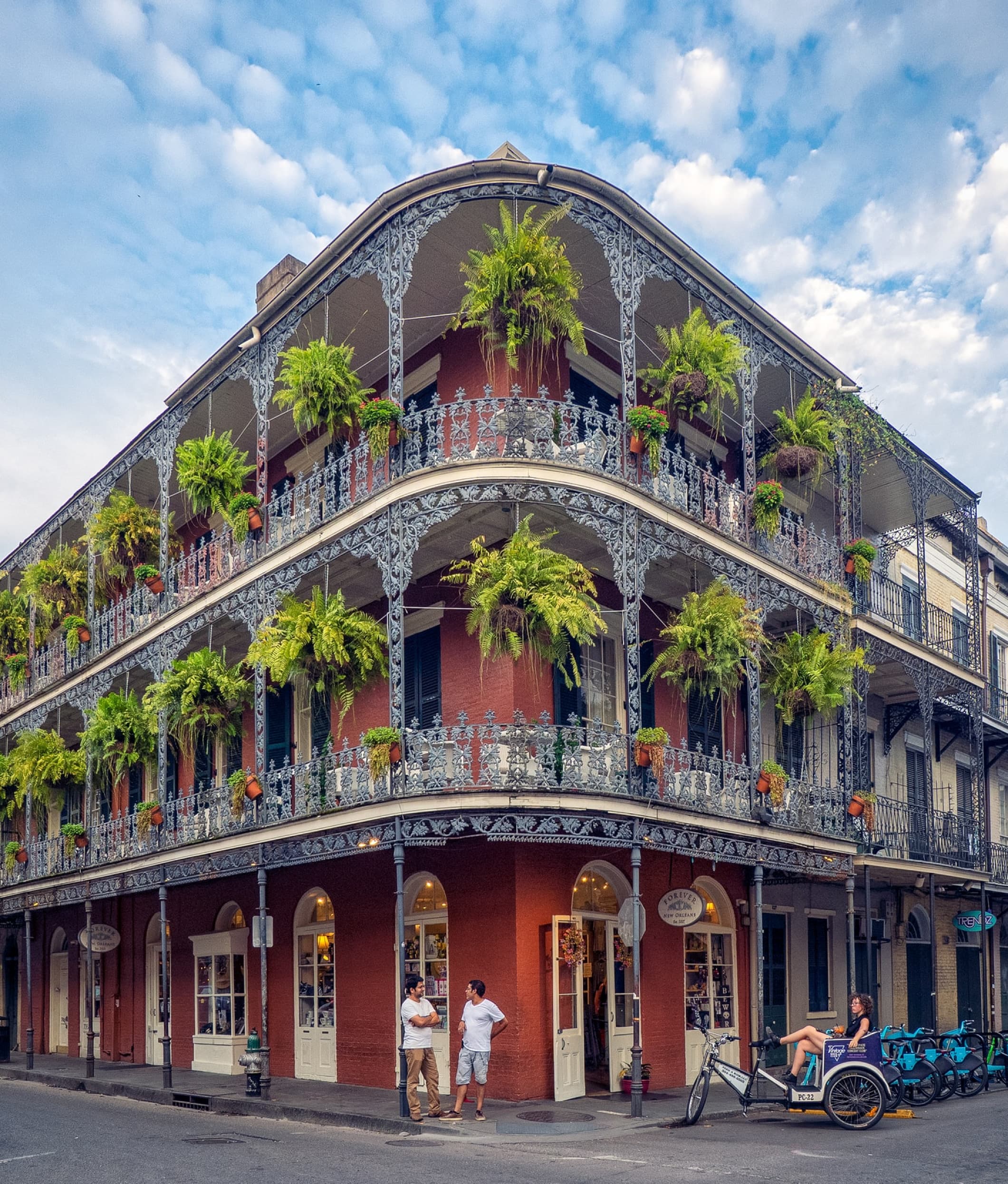 Corner of New Orleans street with colourful green plants