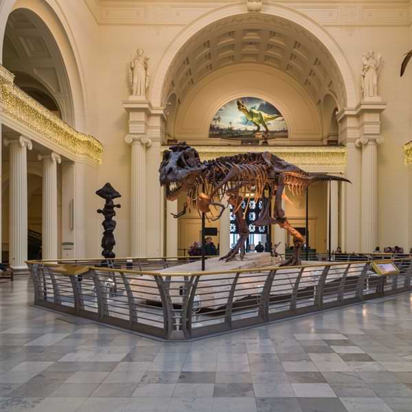 night at chicago museum
