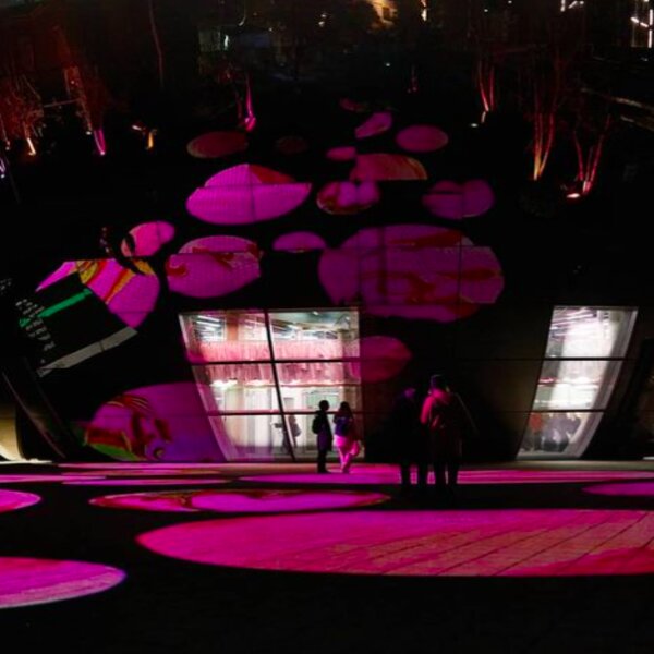 contemporary art rotterdam