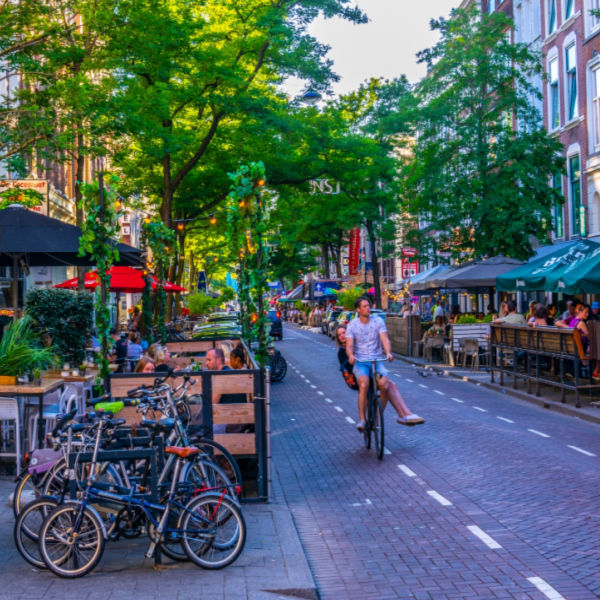 rotterdam neighbourhood