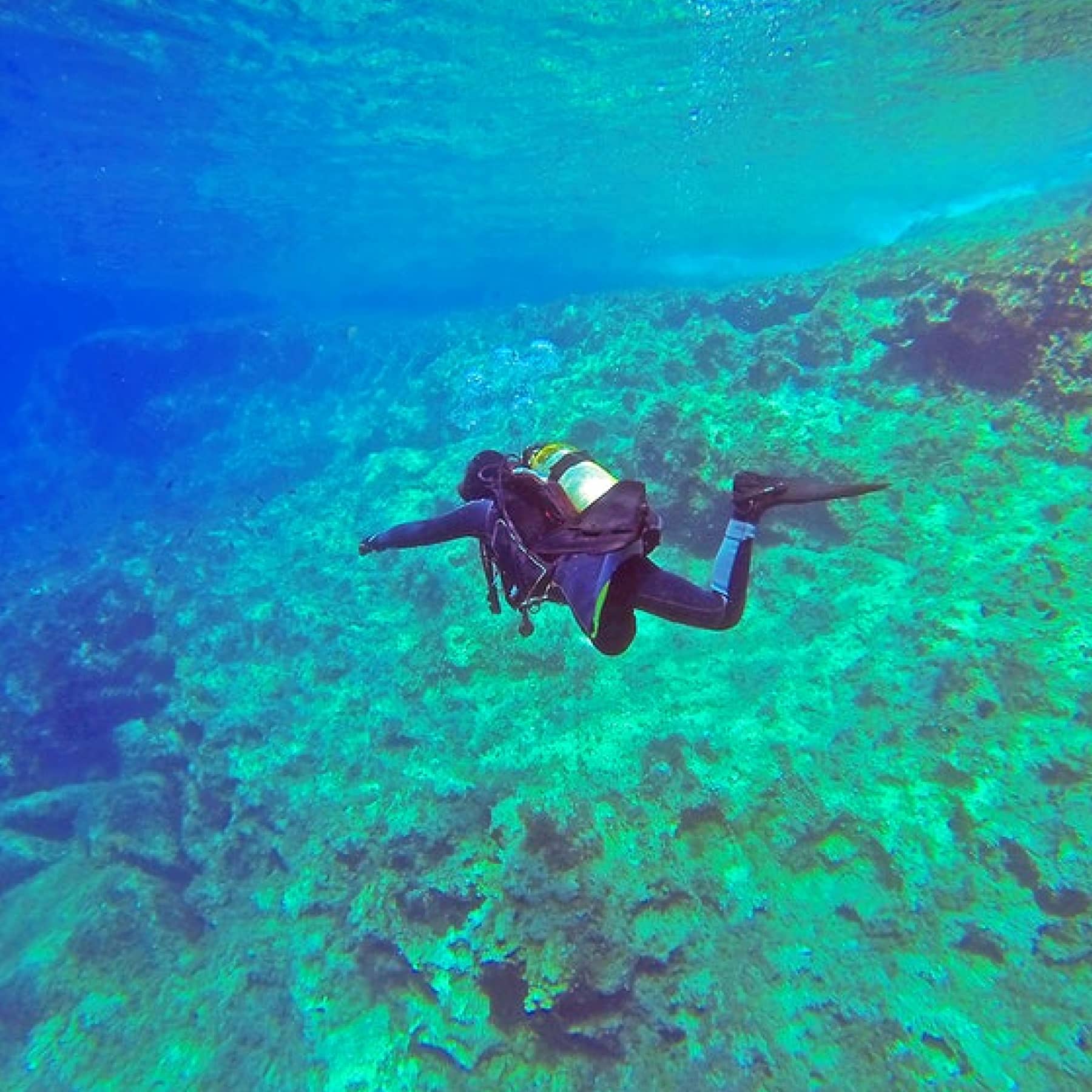 Scuba diving in the depths of Seychelles