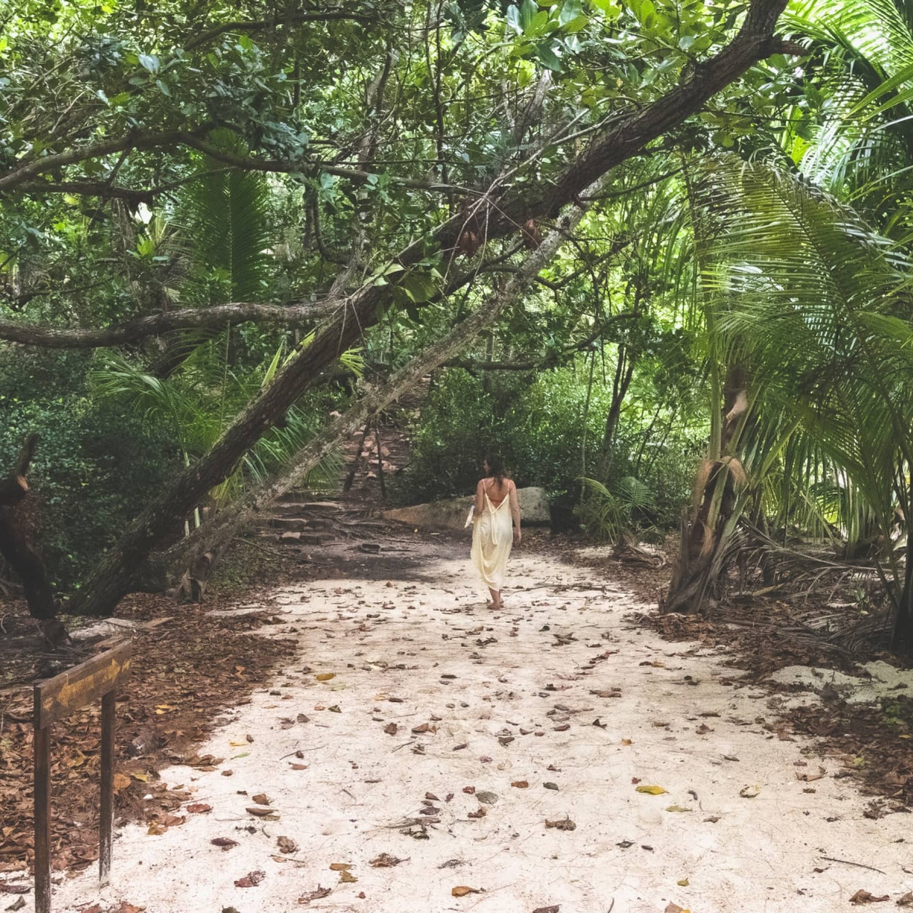 Lady walks a private hotel walkway in the Seychelles