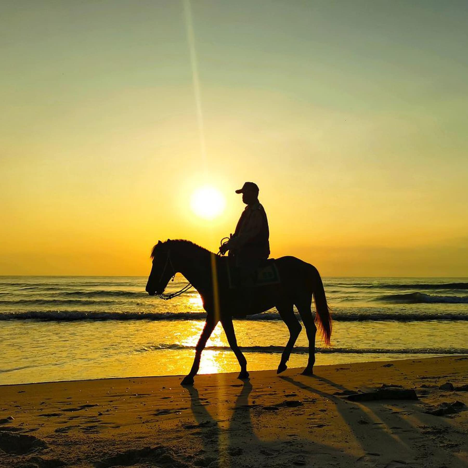 Silhouette of a man riding a horse on the beach in the Seychelles