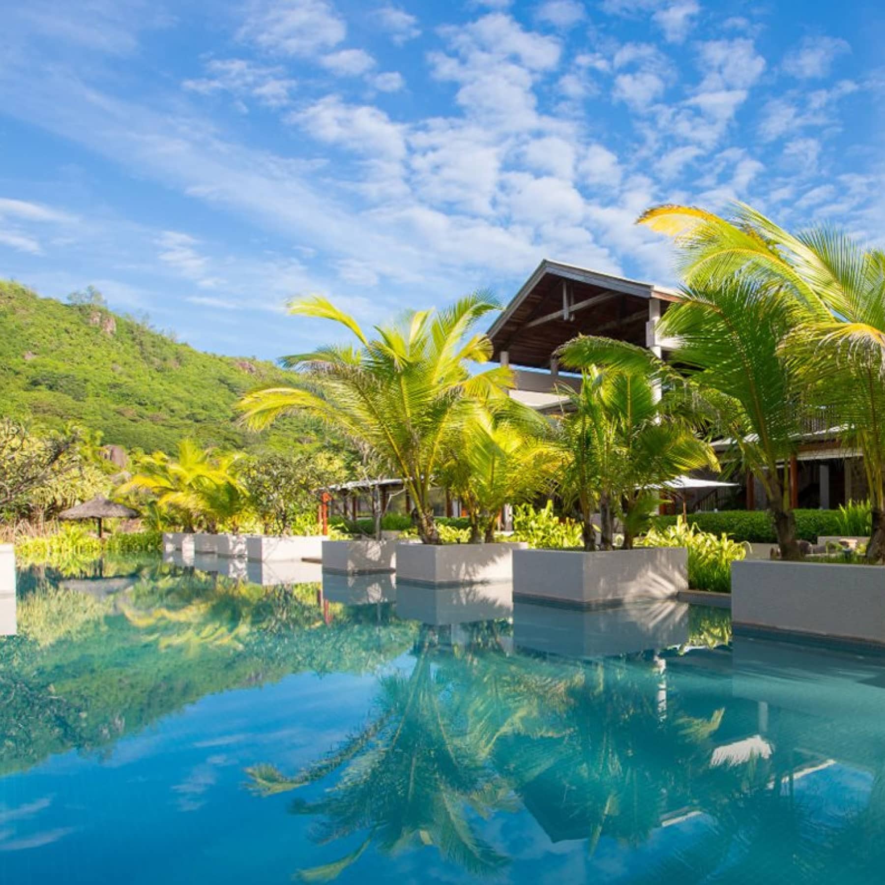 Kempinski Seychelles Resort boasts large palm trees surrounding the swimming pool
