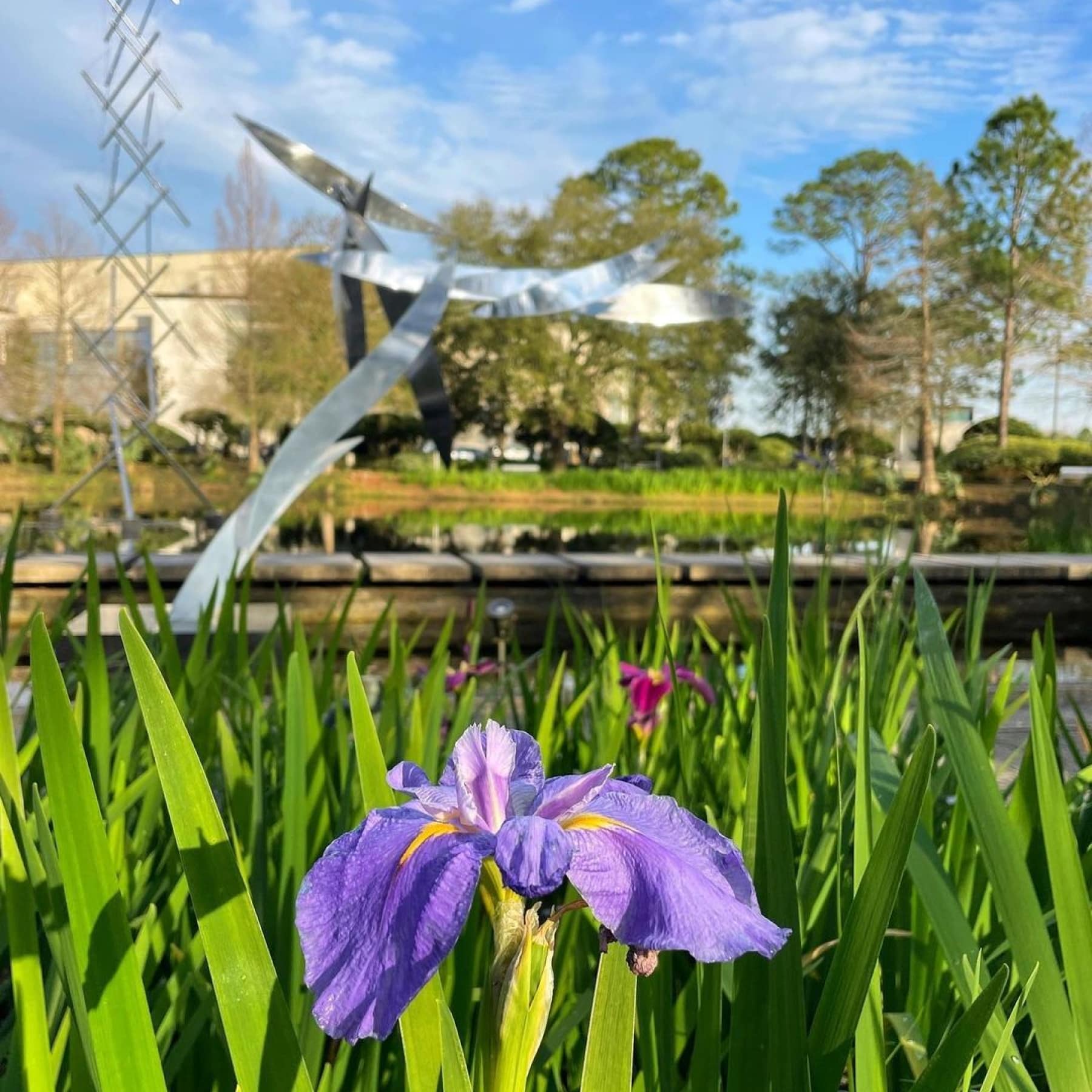 A small flower showcased before a museum in New Orleans