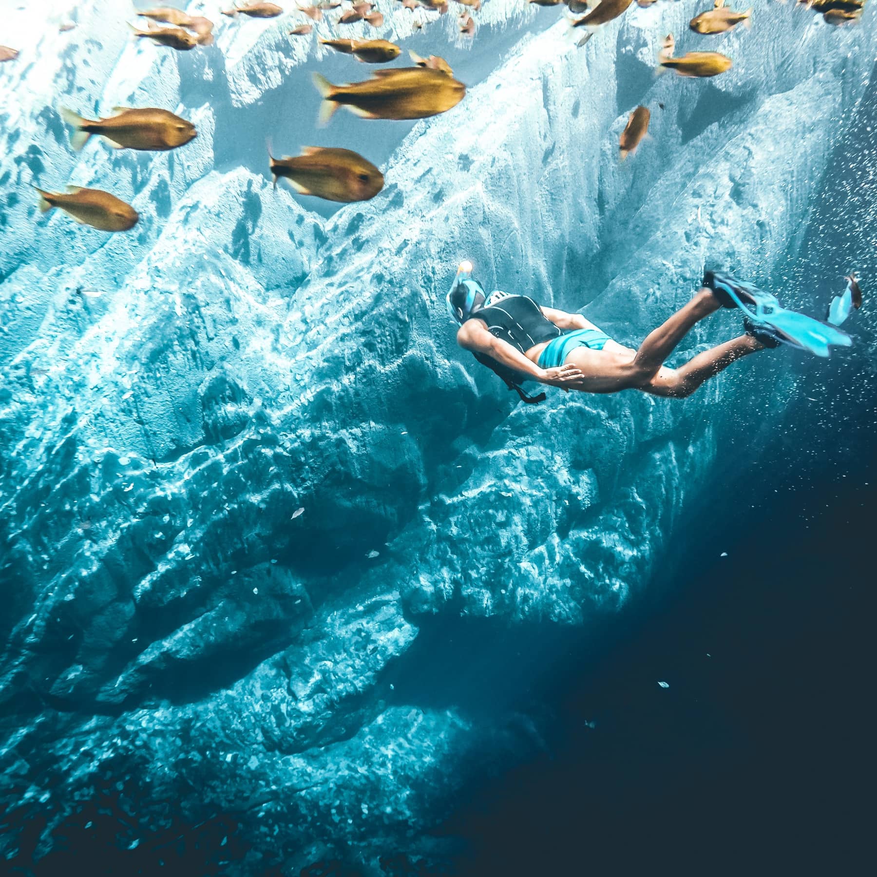 Yellow small fish surround snorkeler in the Seychelles